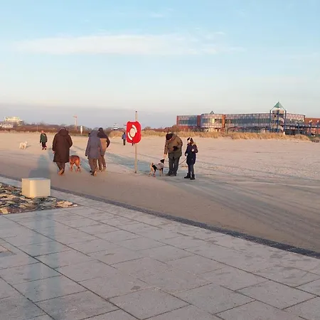 Nordseeduene